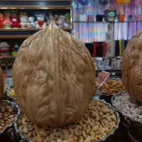 گردو(بسته بندی)|خوردنی و آشامیدنی|تهران, تهرانپارس شرقی|دیوار