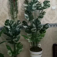 گل های مصنوعی قیمت مختلف|گل مصنوعی|بهارستان, |دیوار