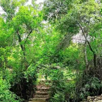 باغ-سیاخ-دارنگون-فاز-2