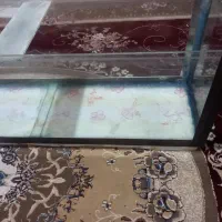 آکواریوم.وتجهیزات|ماهی|شیراز, پودنک|دیوار