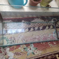 اکواریوم بزرگ|ماهی|شیراز, کوزه گری|دیوار