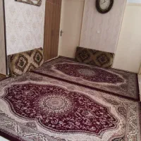 فرش ماشینی|فرش|قزوین, |دیوار