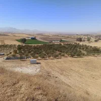 فروش‌‌باغ‌‌