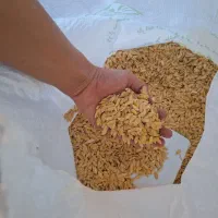 تخمک خربزه  کنجد انواع حبوبات