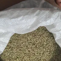 زیره سبز|خوردنی و آشامیدنی|چرداول, |دیوار