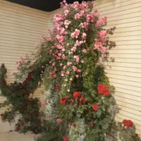 ۱۰۰متر آپارتمان مستقل راه جداگانه درحد صفر اهر