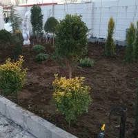 هرس درختان میوه و هرس فرم تزئینی|خدمات باغبانی و درختکاری|هشتگرد, تهران دشت|دیوار