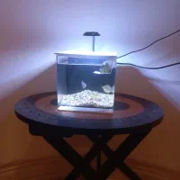 آکواریوم مینی