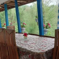 ویلاجنگلی باویوعالی