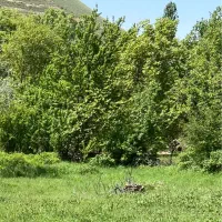 یک-قطعه-زمین-مسکونی-180متر