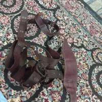 کاسه علم کمربند علم کشی