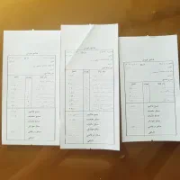 بچه گربه|گربه|تهران, هروی|دیوار