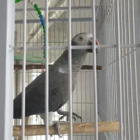 سه خط روند 09184441008 09184441009 09198712101