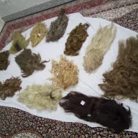 کلاه گیس( درشهرری)