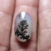 شجر قائن|جواهرات|قم, شهرک امام حسین|دیوار