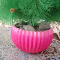 کاج مصنوعی
