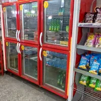 سالم . یخچال ۶ در