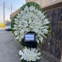 بازار گل امام‌ رضا گل نمایشگاه|گل و گیاه طبیعی|ری, بازار گل خاوران|دیوار