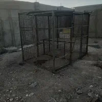 قفس سگ ۳متر در ۲متر ارتفاع ۲متر|لوازم جانبی حیوانات|رباطکریم, رباطکریم|دیوار