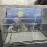 آکواریوم با وسایل سالم