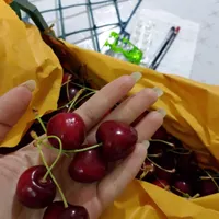 تکدانه|خوردنی و آشامیدنی|کرج, کلاک نو|دیوار