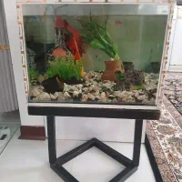 آکواریوم