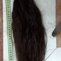 موی طبیعی حدود ۶۰ سانت