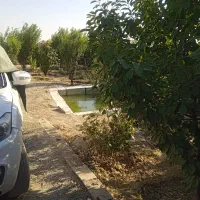 فروش-باغ-درشبستر
