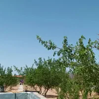 پلاک های شهرکی