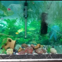 آکواریوم دست ساز