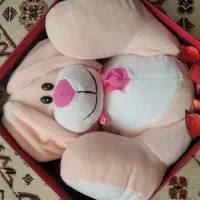 عروسک خرگوش