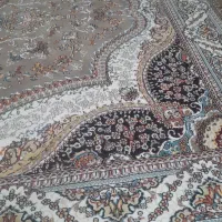 فروش فرش ۱۲ متری و۶ متری|فرش|کاشمر, |دیوار