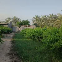 باغ-منصوریه-با-کل-مجوزات