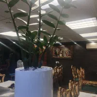 شاطر وقلیان زن دررستوران نیازمندیم