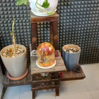 جا گلدونی