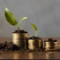 مشاوره دریافت صیادی و دیجیتال