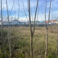 فروش-زمین-278متری-باغی-داخل-محدوده-طرح-هادی