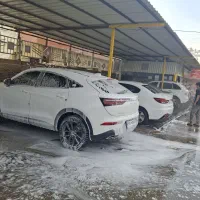 نیروی کارواش