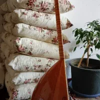 ساز باغلاما برقی|سازهای سنتی|پیرانشهر, |دیوار