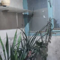 خونه ویلای ۸۰ منری|اجارهٔ خانه و ویلا|تهران, شهرک طالقانی|دیوار