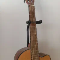 گیتار|گیتار، بیس، امپلیفایر|تبریز, |دیوار