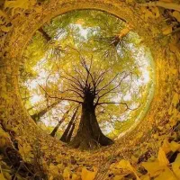 گردش زیارتی