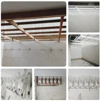 نقاشی ساختمان|خدمات پیشه و مهارت|لاهیجان, امیرشهید|دیوار