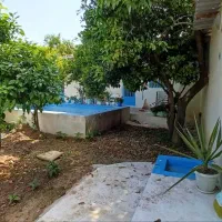 به دنبال مستاجر خانم|اجارهٔ خانه و ویلا|ساری, |دیوار