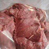 گوشت تازه