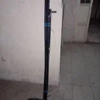 رگال