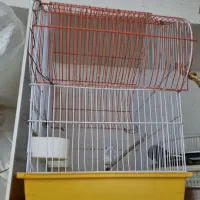 قفس بزرگ پت|لوازم جانبی حیوانات|رشت, گلباغ نماز|دیوار