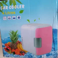 یخچال مینی هیبریدی خودرو ۲حالته سرما و گرما ۴لیتری