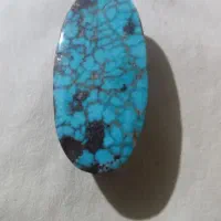 شجری طبیعی اصیل