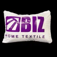 نمایندگی رسمی بالشت بیزطبی میکرو فایبر(رفع کمردرد)